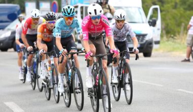 N1 N2 N3 : Le nombre de candidats pour 2026 - Actualité