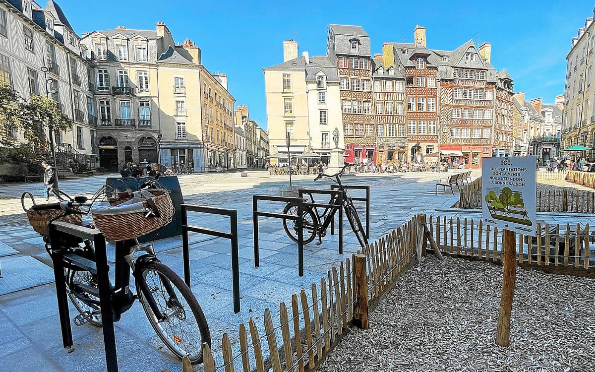 Pourquoi il n’y a pas encore d’arbre sur la nouvelle place du Champ-Jacquet à Rennes