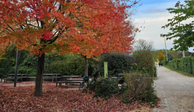 Lyon dans le classement mondial des villes les plus instagrammables en automne