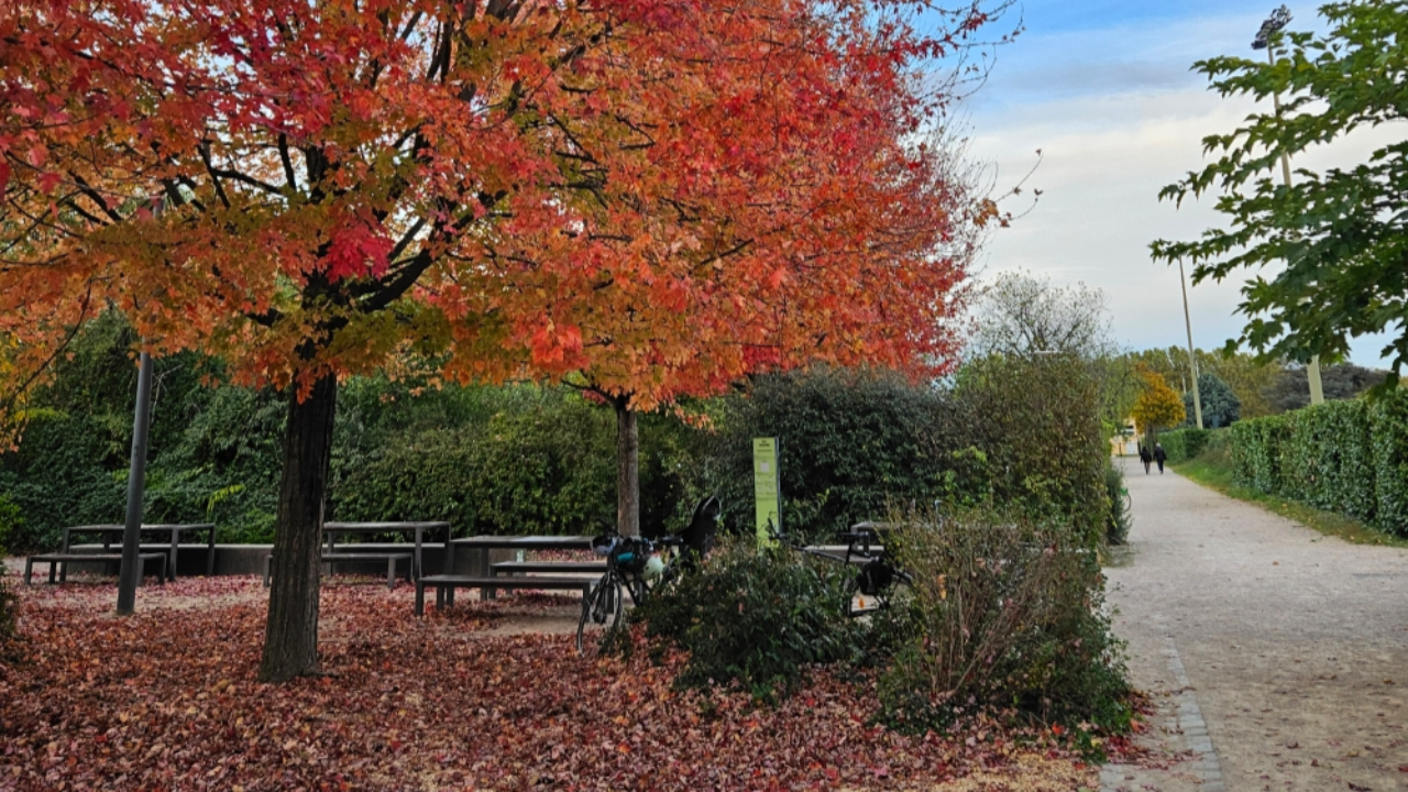 Lyon dans le classement mondial des villes les plus instagrammables en automne