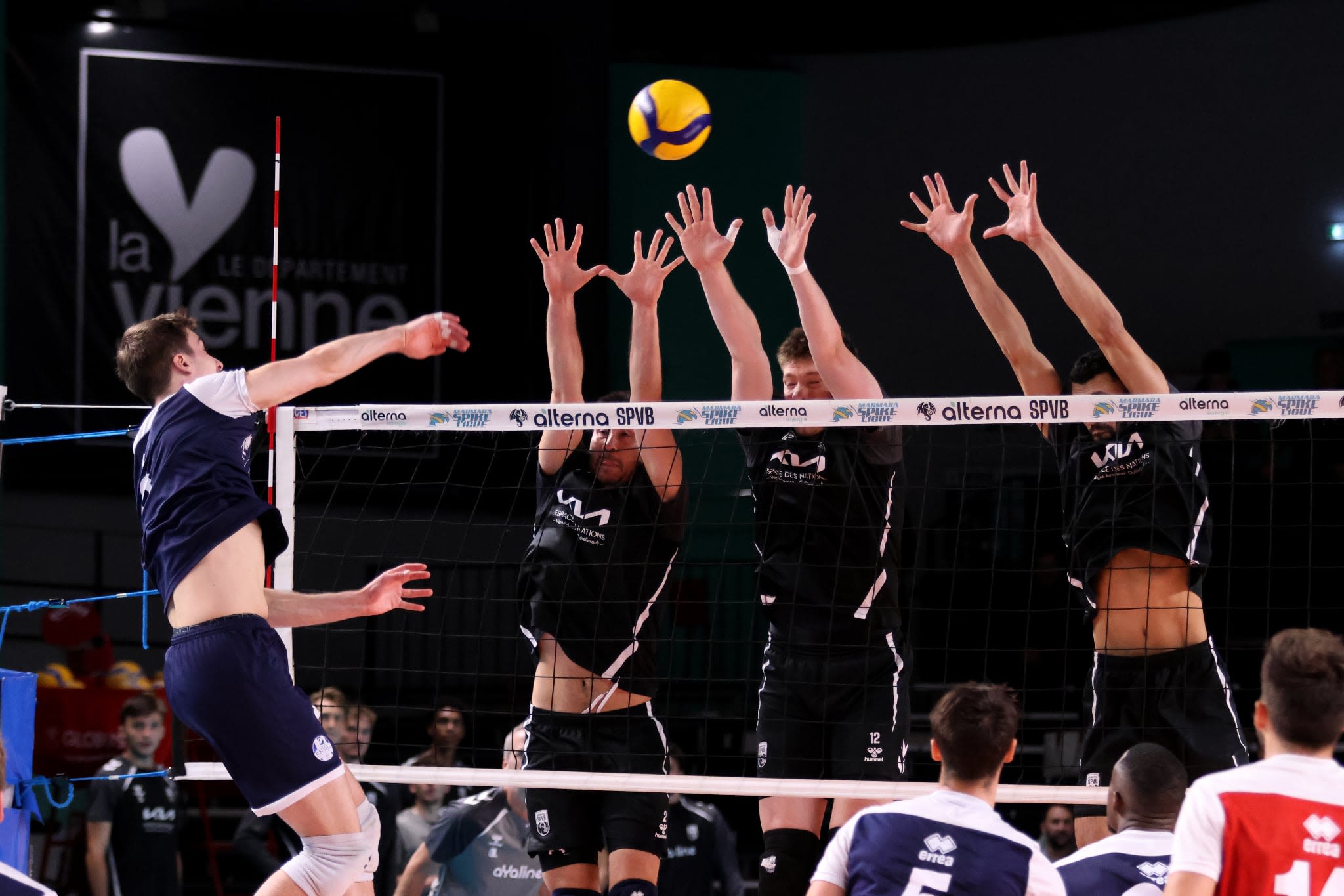 Gjorgi Gjorgiev, Lukas Maase et Armin Afshin Far, trois nouveaux joueurs de l’Alterna SPVB.