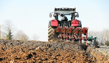 De moins en moins de jeunes agriculteurs en Europe : le plan de Bruxelles pour inverser la tendance