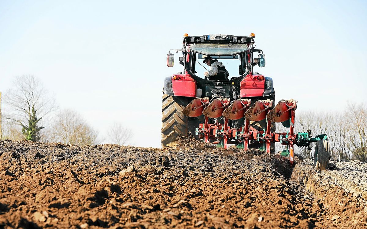 De moins en moins de jeunes agriculteurs en Europe : le plan de Bruxelles pour inverser la tendance