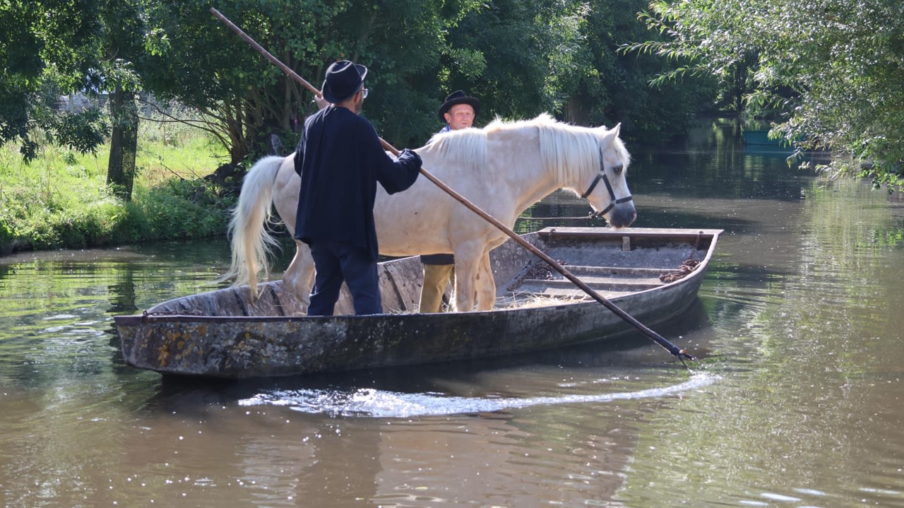 La photo prise dans le Marais poitevin de Jean-Paul Chartier a été choisie par l’Institut du goût Nouvelle-Aquitaine dans la catégorie Paysages nourriciers.
