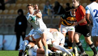 Le RC Vannes en passe de recruter un demi de mêlée néo-zélandais