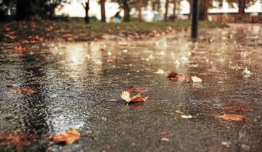 Tempête Benjamin : voici les lieux interdits au public à Rennes ce jeudi 23 octobre