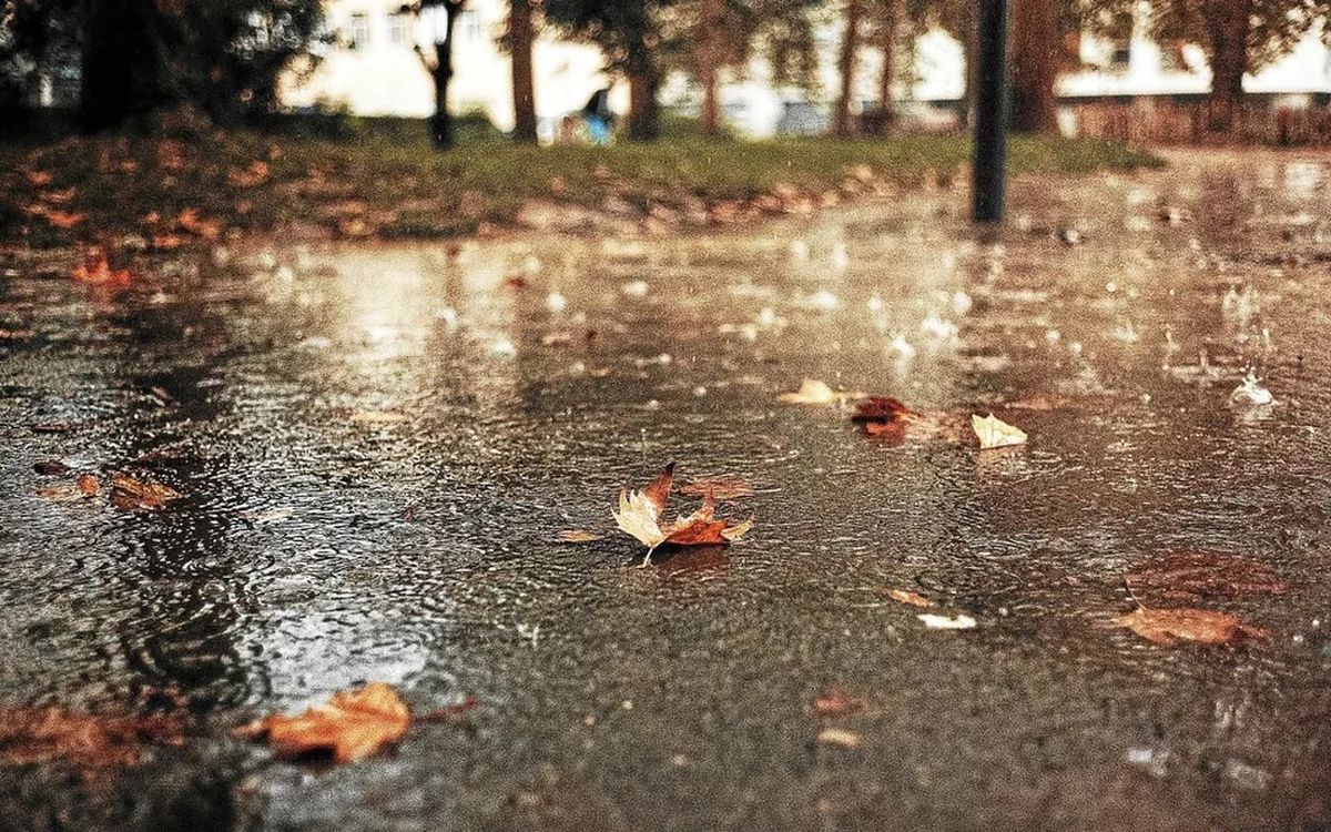 Tempête Benjamin : voici les lieux interdits au public à Rennes ce jeudi 23 octobre