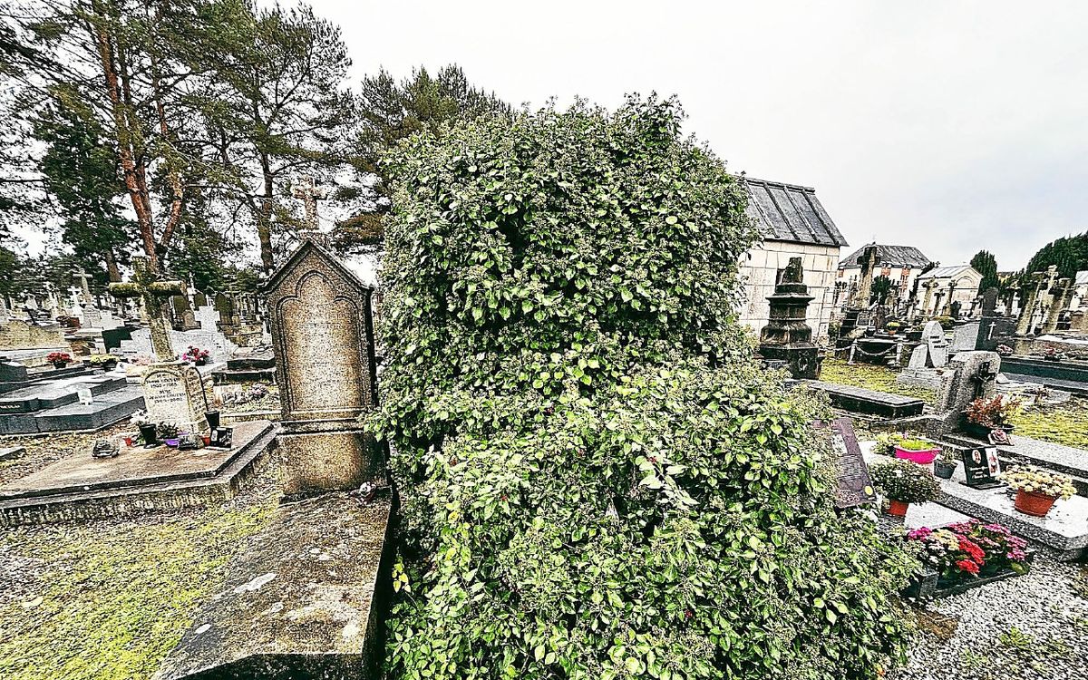 À Rennes, ils repèrent des personnes dans un cimetière pour leur soutirer de l’argent