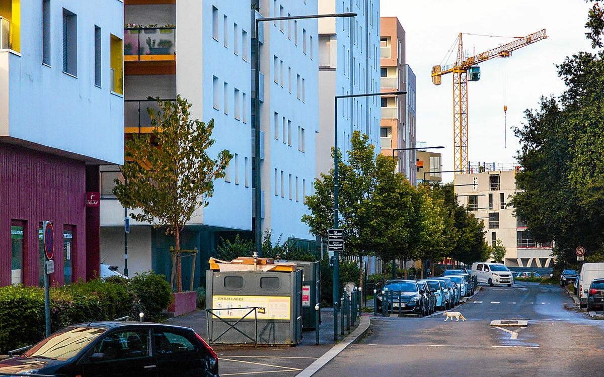 « Il y a une réelle paupérisation » : 30 ans après sa création, qu’est devenu ce gigantesque quartier de Rennes ?