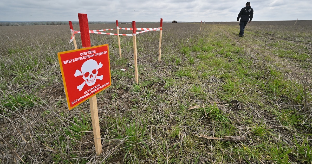 Un démineur passe devant un champ de mines dans la région de Mikolaïv, le 9 avril 2023 en Ukraine