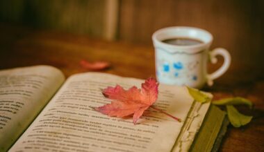 C’est le livre à lire cet automne : ce thriller de Freida McFadden (La femme de ménage) fait un carton en France