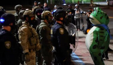 Grenouilles, licornes… Aux Etats-Unis, le déguisement comme outil de protestation pour déconstruire le récit de Trump – Libération
