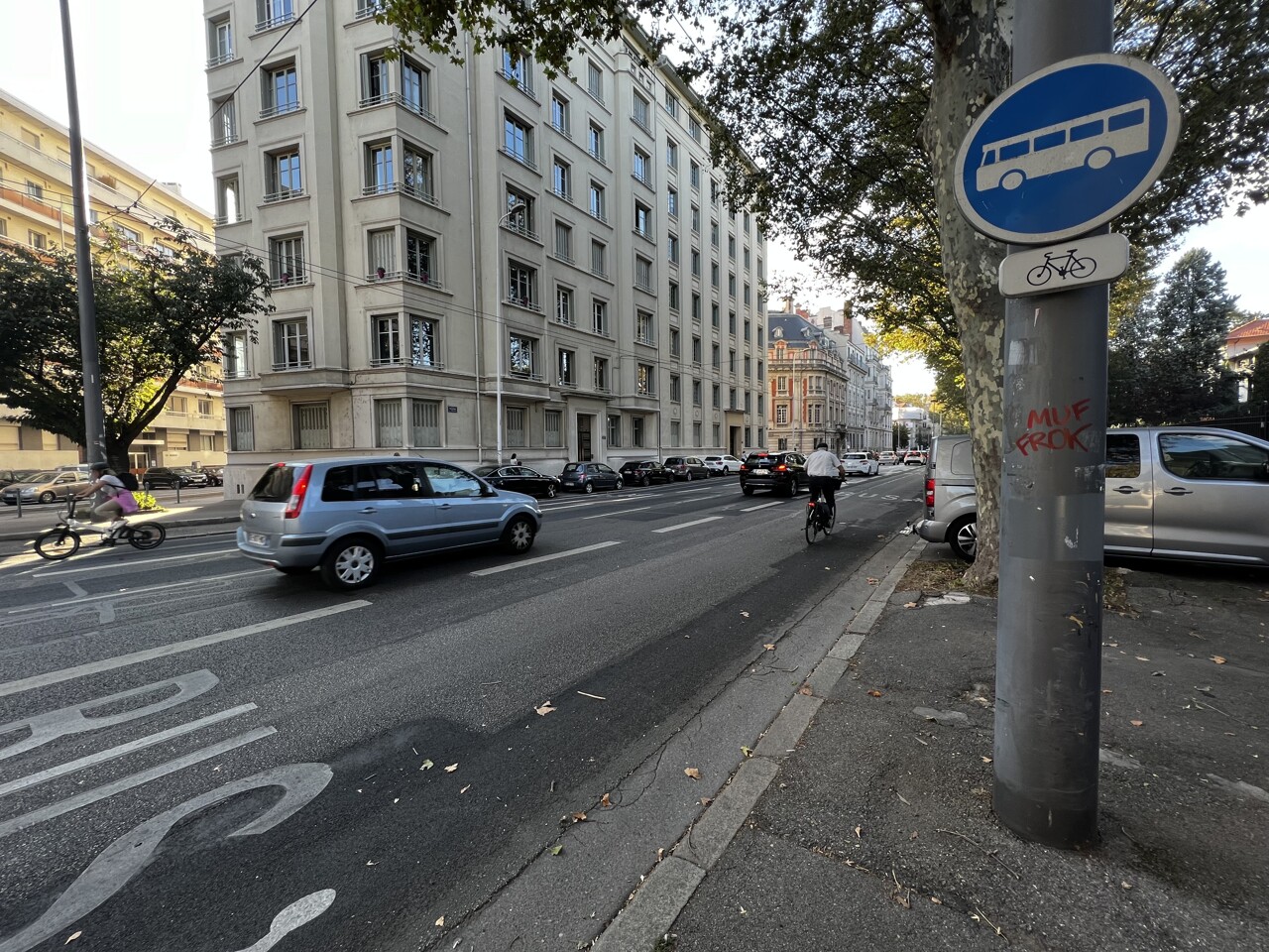 Lyon. Les habitudes de la femme de ménage du quartier dénoncées, elle craque face à la police