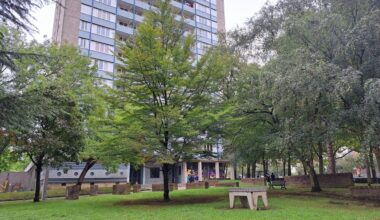 Fête à Maurepas, concert, expos... Rennes célèbre les 60 ans de son jumelage avec Brno, voici le programme