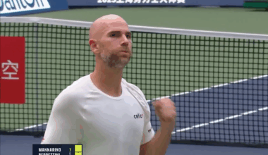 Tennis | La stat d'Adrian Mannarino qui plonge la France dans l'obscurité