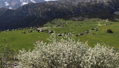 Départ à Barcelone, Haute-Savoie à l’honneur... Le parcours du Tour de France 2026 mettra la montagne en majesté