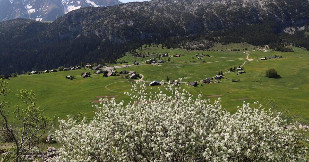 Départ à Barcelone, Haute-Savoie à l’honneur... Le parcours du Tour de France 2026 mettra la montagne en majesté