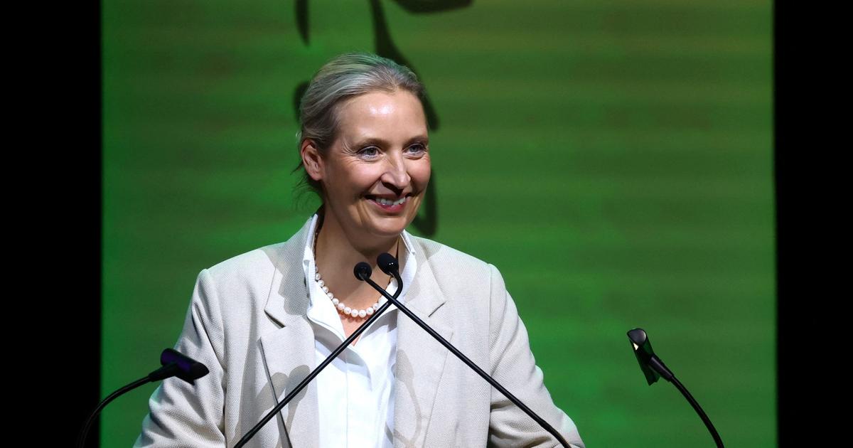 des élus d’extrême droite soupçonnés d’espionner pour la Russie