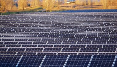 la Collectivité européenne d'Alsace va multiplier par 10 la surface des panneaux solaires