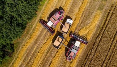 La Suède va constituer ses premières réserves stratégiques de céréales à utiliser en cas de guerre ou de crise