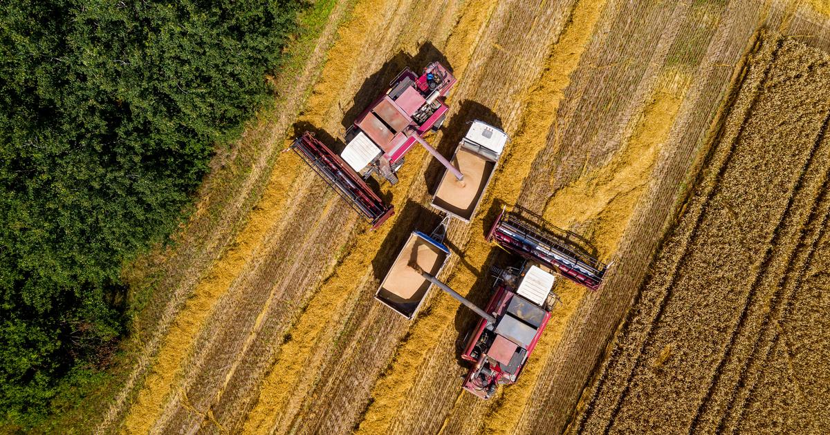 La Suède va constituer ses premières réserves stratégiques de céréales à utiliser en cas de guerre ou de crise
