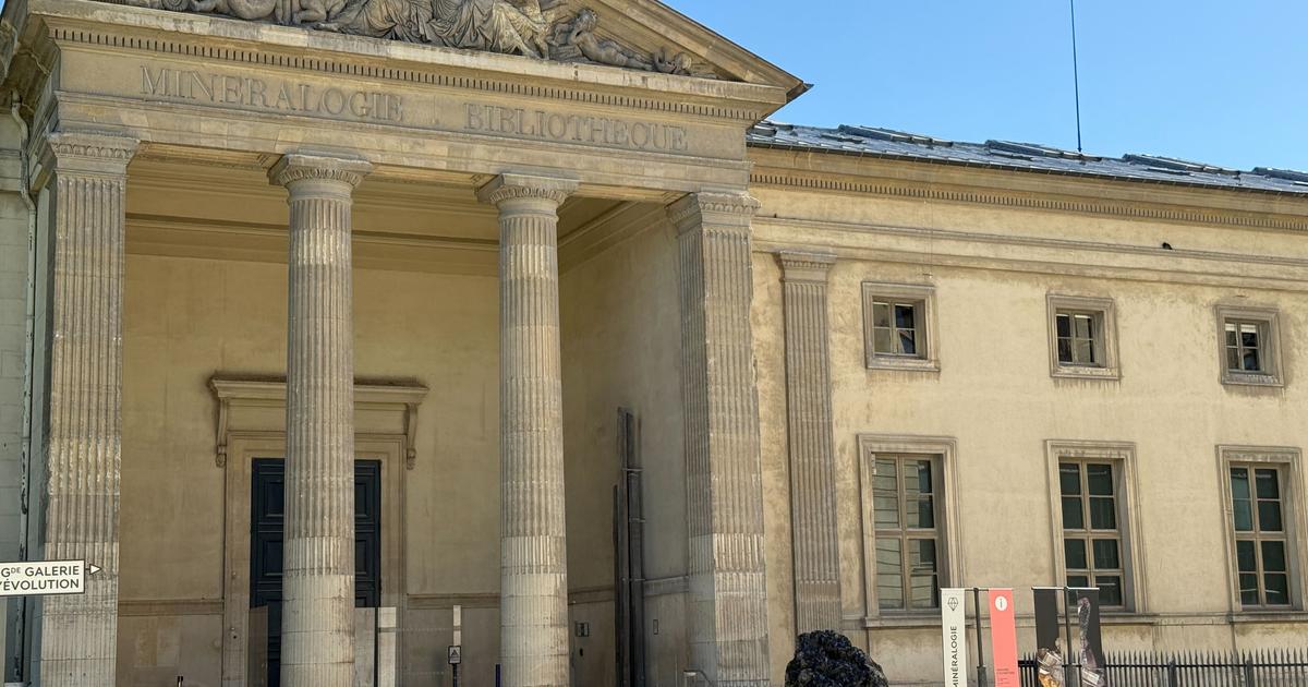 Une Chinoise mise en examen et écrouée dans l’affaire du vol d’or au Muséum d’histoire naturelle à Paris