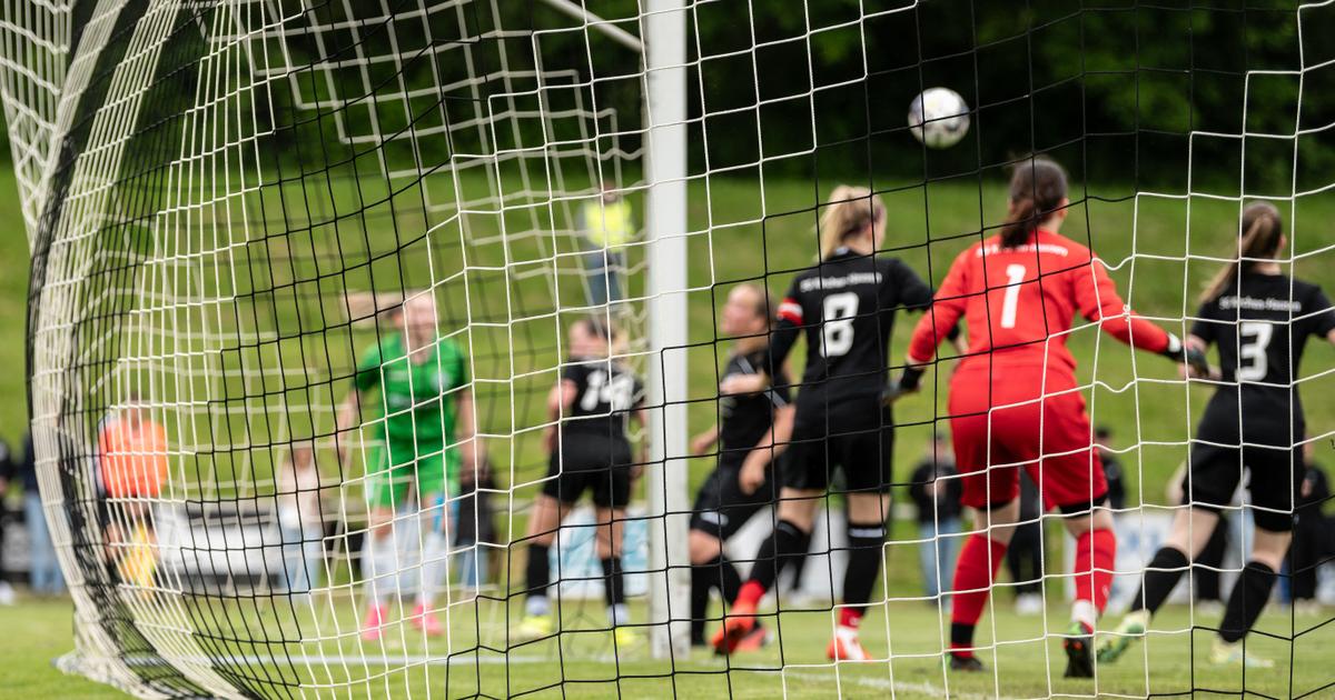 En Allemagne, des centaines de jeunes footballeurs victimes de violences
