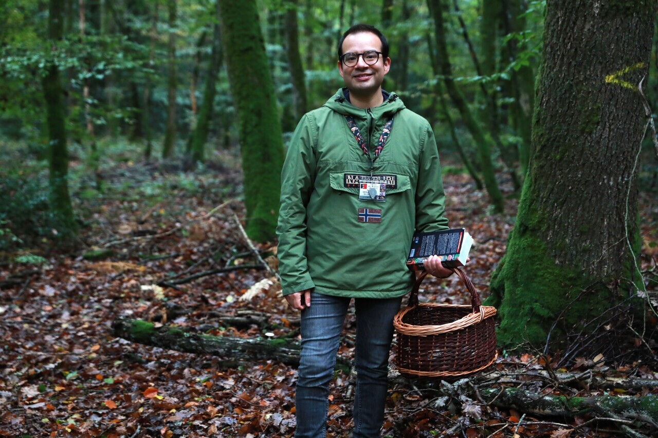 les secrets d'une bonne cueillette en Bretagne