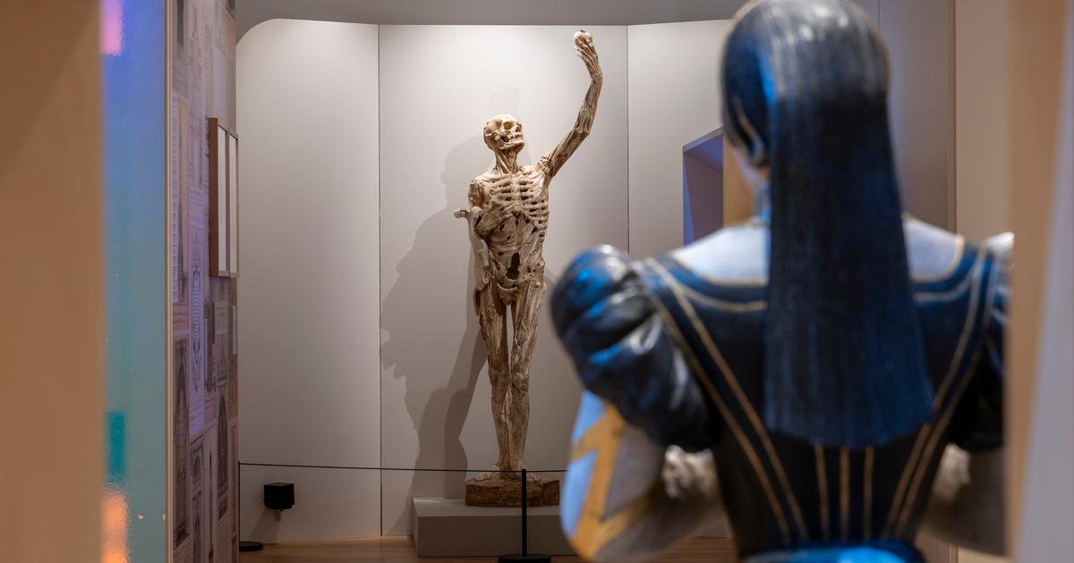 À Nantes, le Musée Dobrée fait battre les cœurs