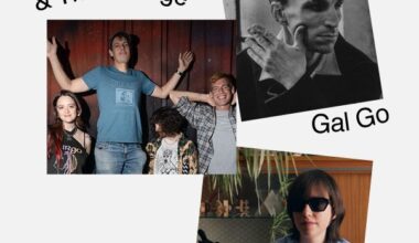 Jeffrey Lewis & The Voltage, Gal Go et Vilain Merle (DJ set) : Anti rentrée – Alter1fo