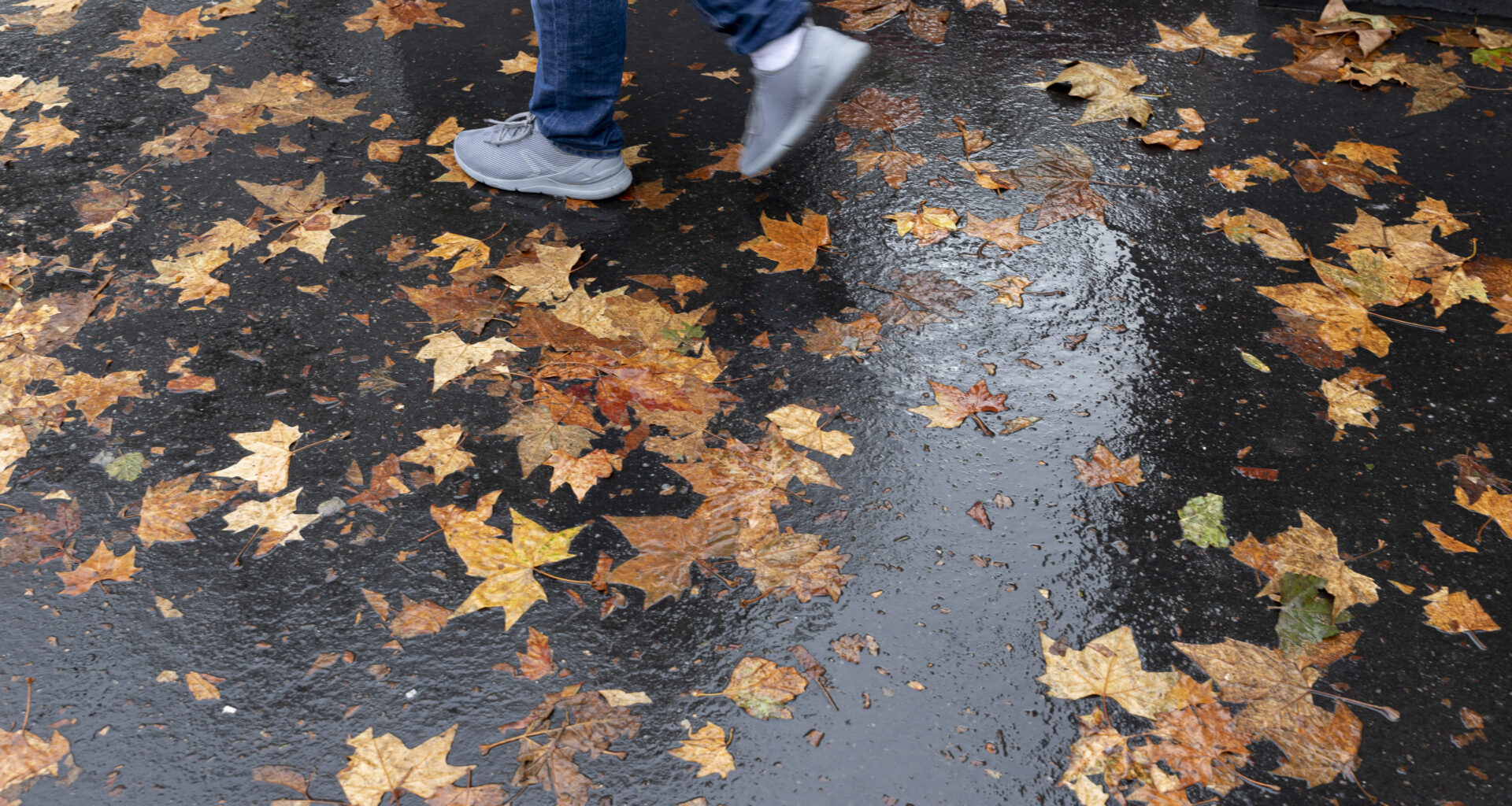Grands prix littéraires d'automne : le bilan des premières sélections