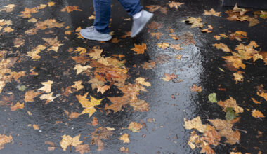 Grands prix littéraires d'automne : le bilan des premières sélections