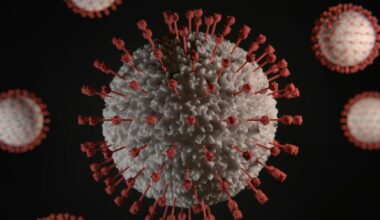 Des chercheurs viennent de révéler un effet du COVID que personne n’avait anticipé