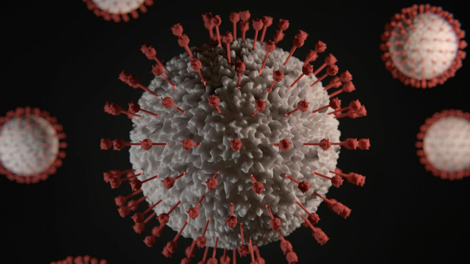 Des chercheurs viennent de révéler un effet du COVID que personne n’avait anticipé