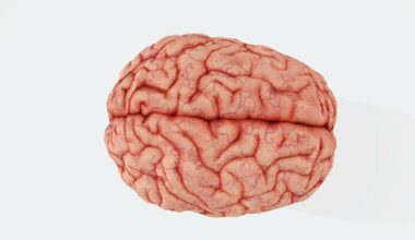 L’autisme, un effet secondaire de l’évolution de notre cerveau ?