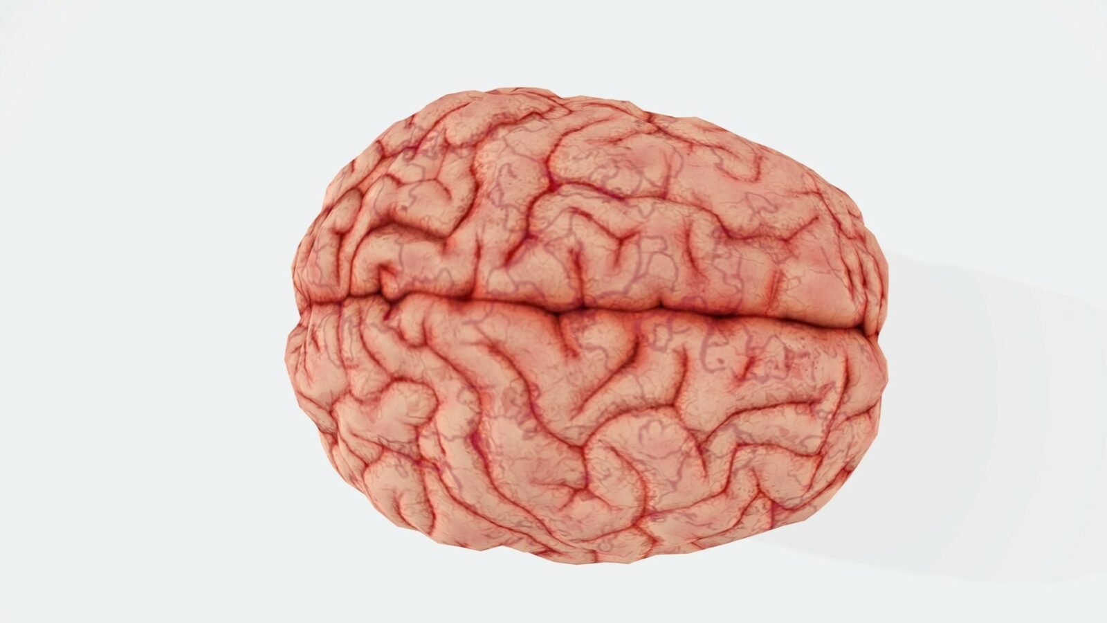 L’autisme, un effet secondaire de l’évolution de notre cerveau ?