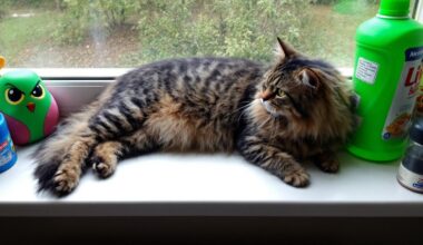 F4lv5ahmts 1761299272