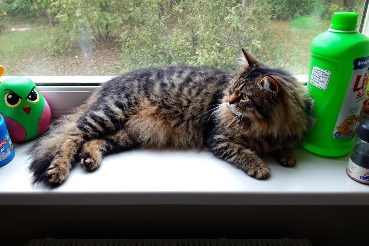 F4lv5ahmts 1761299272