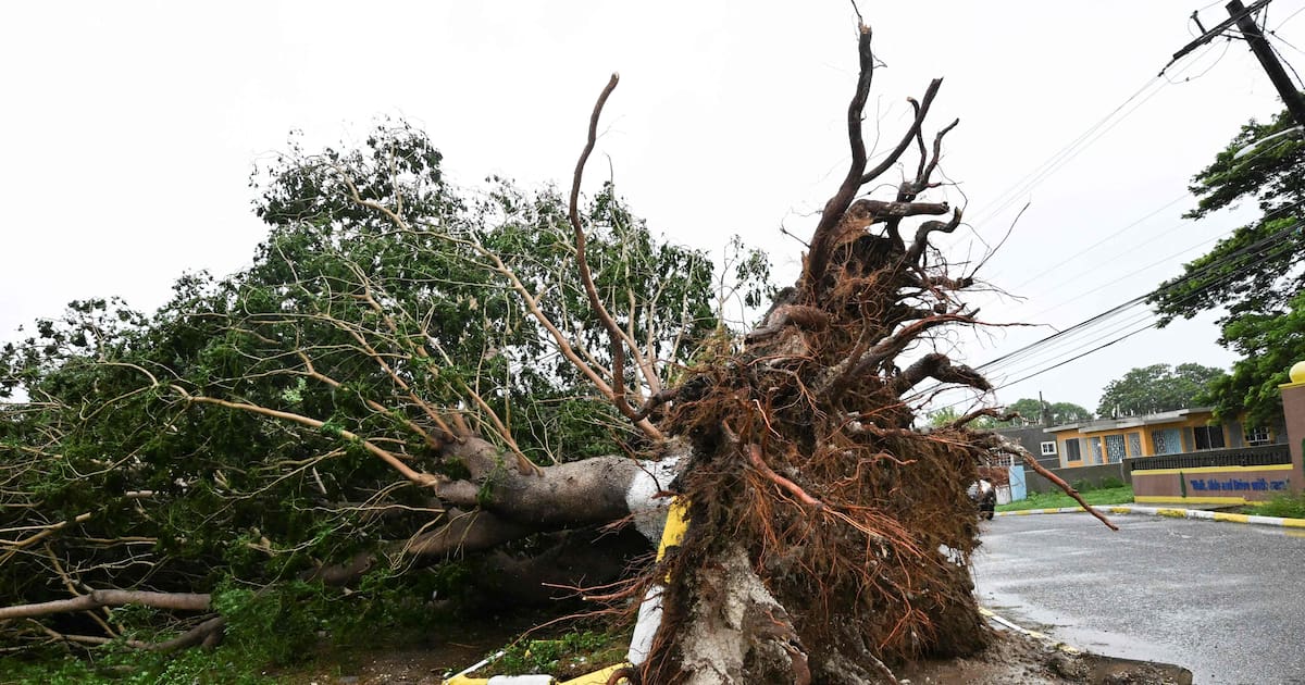EN DIRECT - Jamaïque : l’ouragan Melissa est la plus puissante tempête tropicale de 2025 dans le monde – Libération