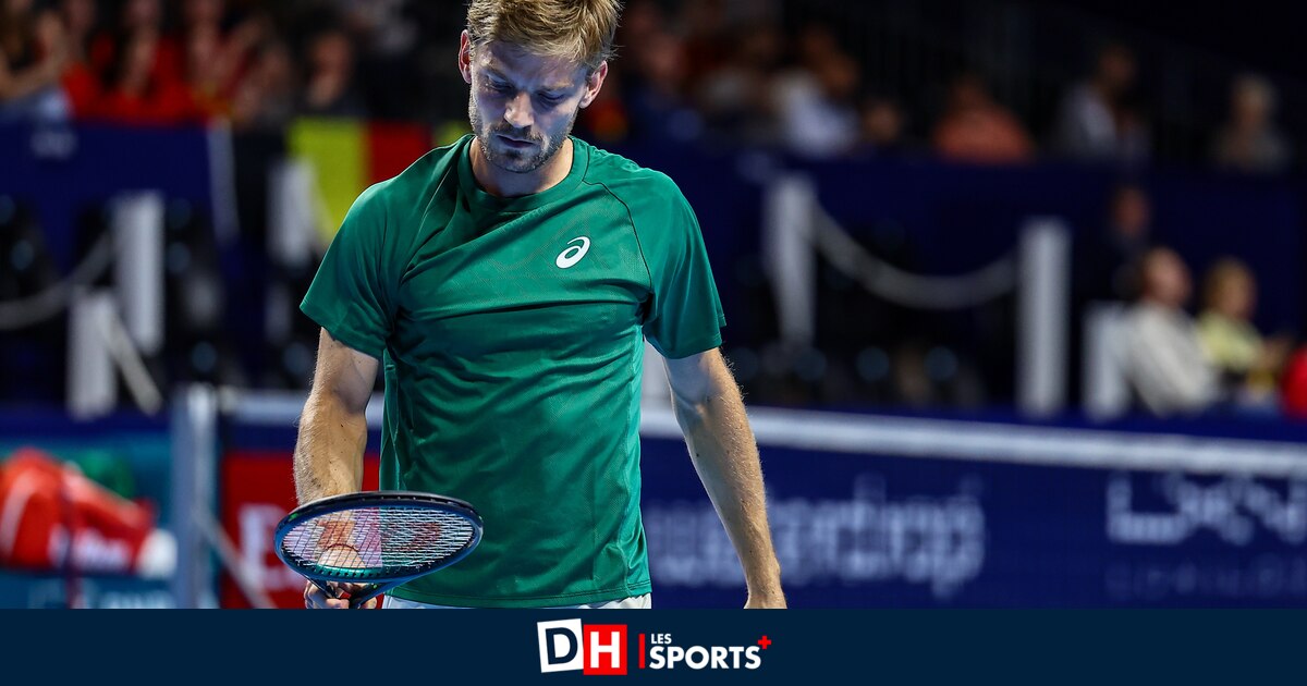 European Open: grosse déception pour David Goffin, sorti du tournoi de Bruxelles dès le premier tour