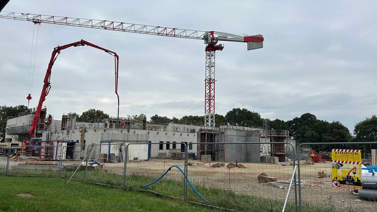 Une mini-forêt de 1 000 arbres détruite près de Rennes