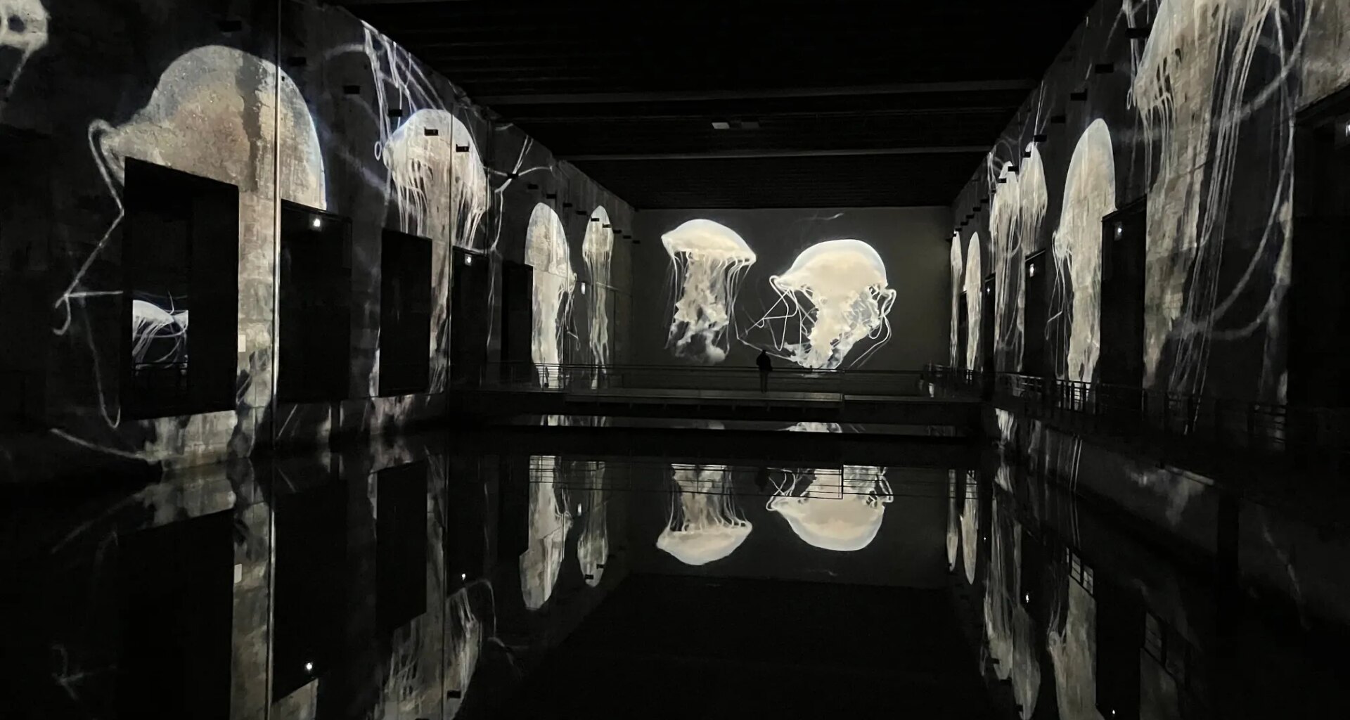 Les Bassins des Lumières font une plongée immersive dans les Océans