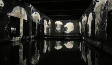 Les Bassins des Lumières font une plongée immersive dans les Océans