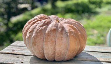 Nos idées sorties du week-end des 10, 11 et 12 octobre 2025 dans la Loire