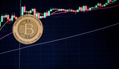 Nouveau record du bitcoin : la cryptomonnaie dépasse les 125 000 dollars