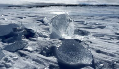 Les Américains stupéfaits par leur propre découverte record en Antarctique qui bat de 5 fois le précédent bloc de glace le plus vieux jamais exhumé sur Terre