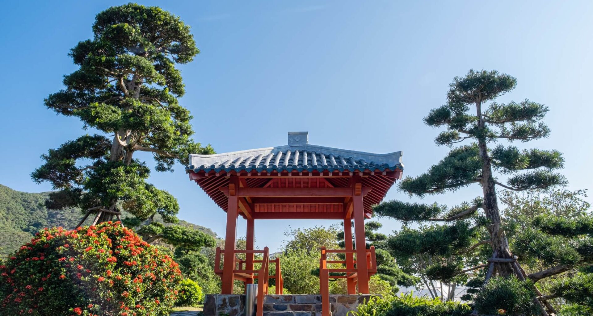Jardin japonais