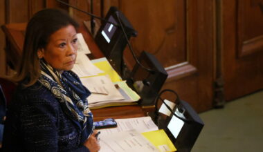 Conseil de Paris : la maire « bien sapée » du VIIIe tacle son propre parti sur les logements sociaux