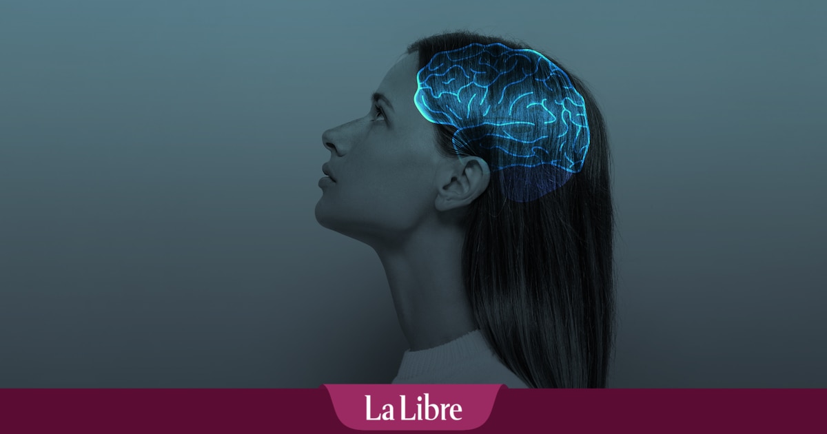 Le vrai âge d'or du cerveau arrive plus tard qu'on ne le pense : "Un appel à repenser la manière dont nous valorisons l'expérience"