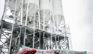 Léa Hobson, "Désarmer le béton. Ré-habiter la Terre" (Zones)